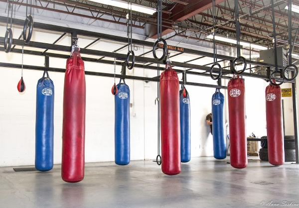 The Way Llc: Fitness & Boxing Gym