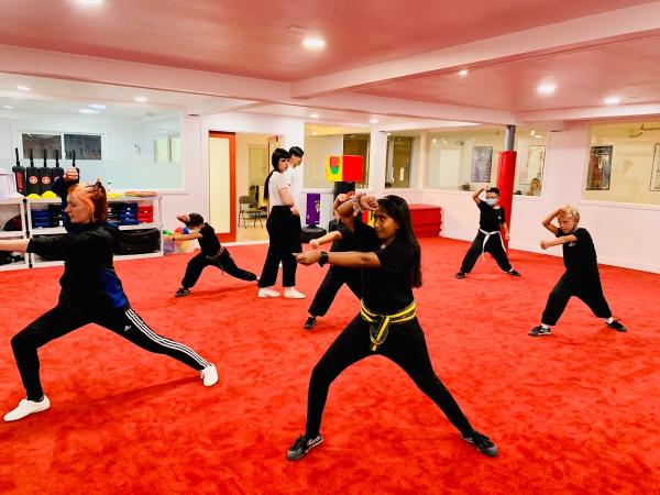 Wushu Central Martial Arts Academy