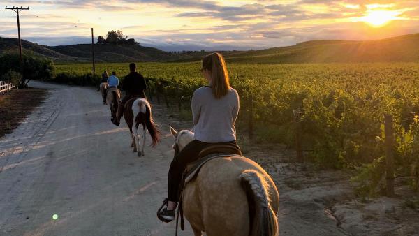 Wine Country Trails by Horseback