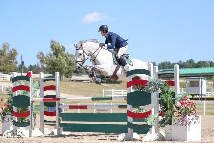 Hunter Jumper