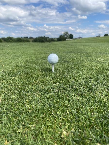 Nancy Quarcelino School Of Golf