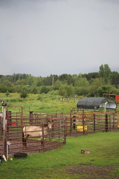 Townline Farms and Stable