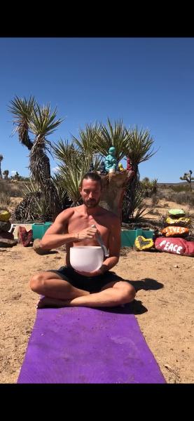 Holistic Vocal Transformation