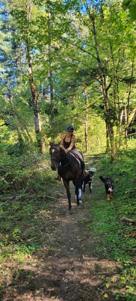 Abbey Creek Equestrian Center LLC