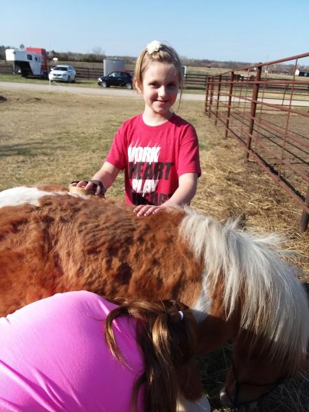 Eagle View Equestrian Center