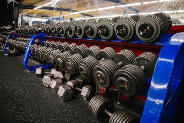 Elite Fitness Health and Training Huntersville