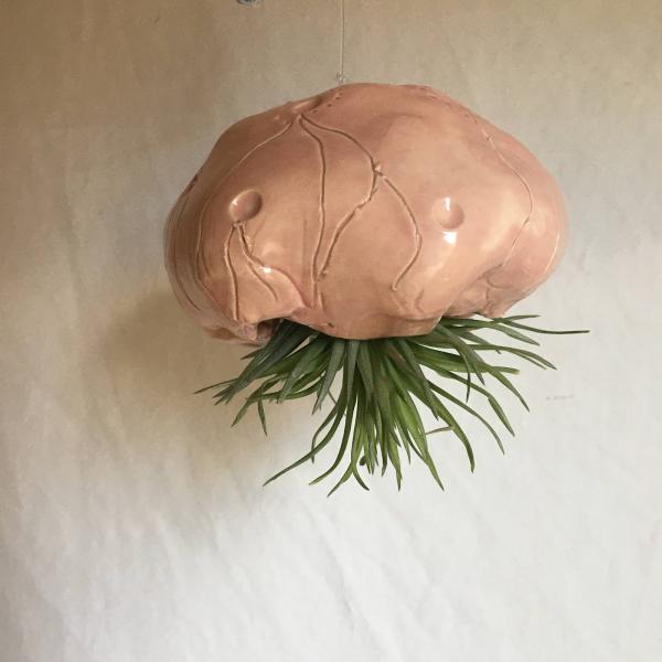 Firefly Valley Pottery