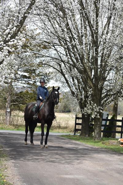 Heaven's Gate Farm LLC