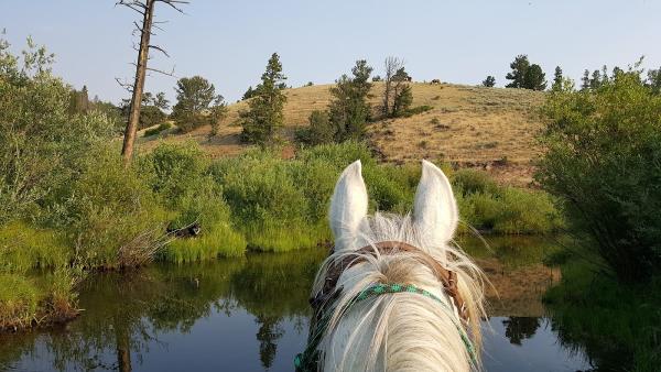 Beaver Meadows Stables