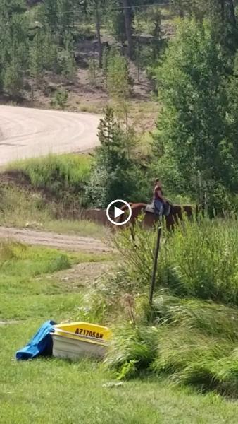 Beaver Meadows Stables