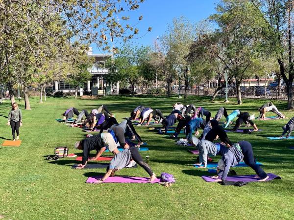 Yoga's Arc (Mobile Yoga Company)