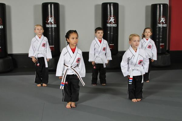 Tiger Rock Martial Arts of Sugar Land