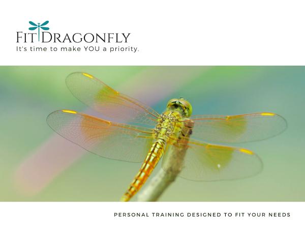 FIT Dragonfly