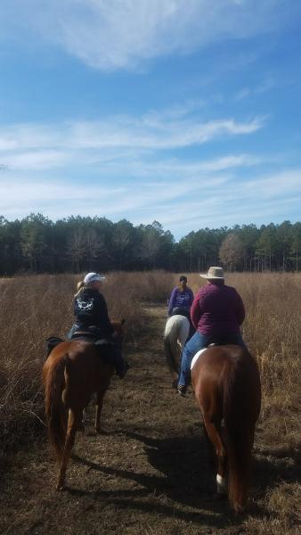 Tidewater Horse Trail