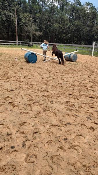 Golden Sun Riding School