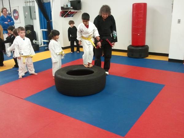 Metrowest Martial Arts and Wellness Center