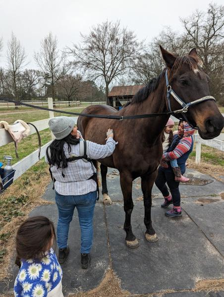 High Standard Stables