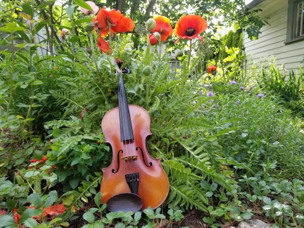 Violin Lessons at Poppy Violin Studio LLC