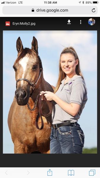 All Americans Arabians