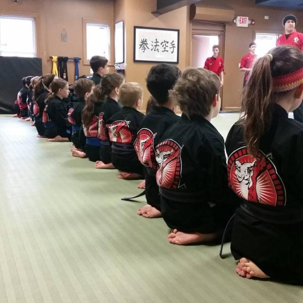 The Dojo Stamfords Karate School