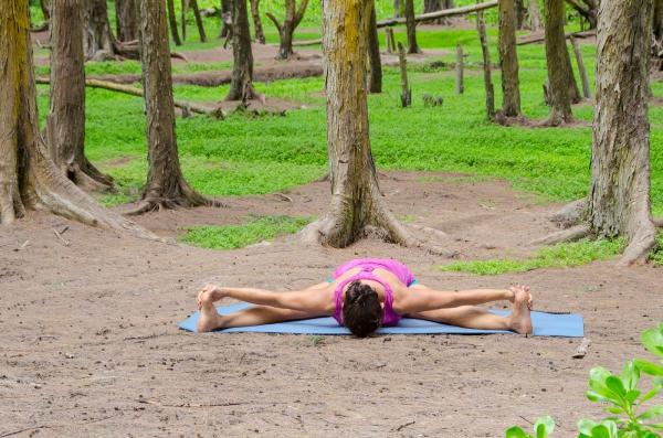 Yoga Moves Hawaii
