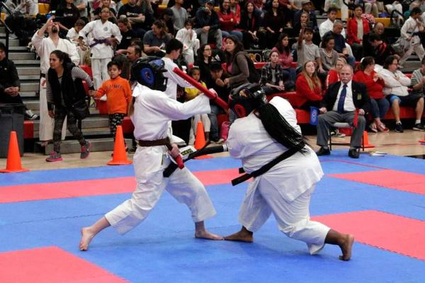 Japan Karate-Do Genbu-Kai of Minnesota