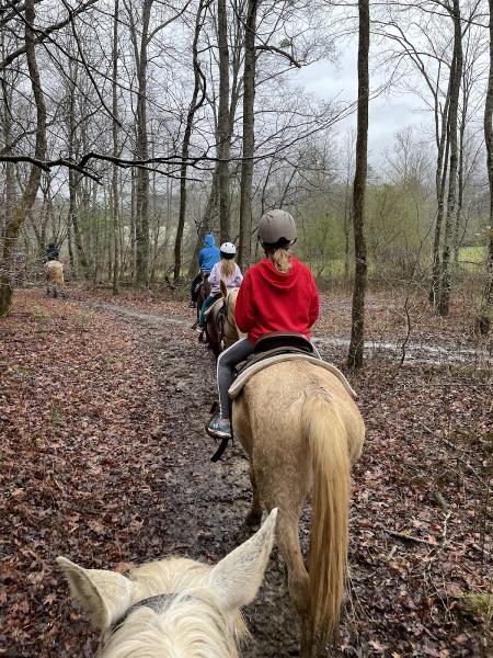 Blue Ridge Mountain Trail Rides