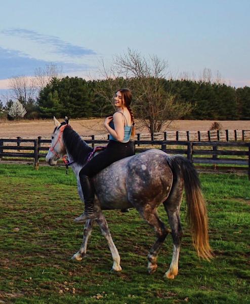 Heavenly Acres Horseback Riding Stable