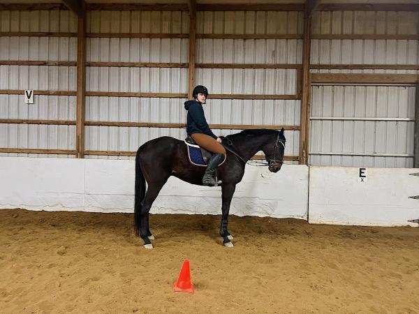 Heavenly Acres Horseback Riding Stable