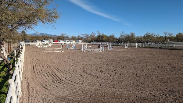 Desert Sun Training