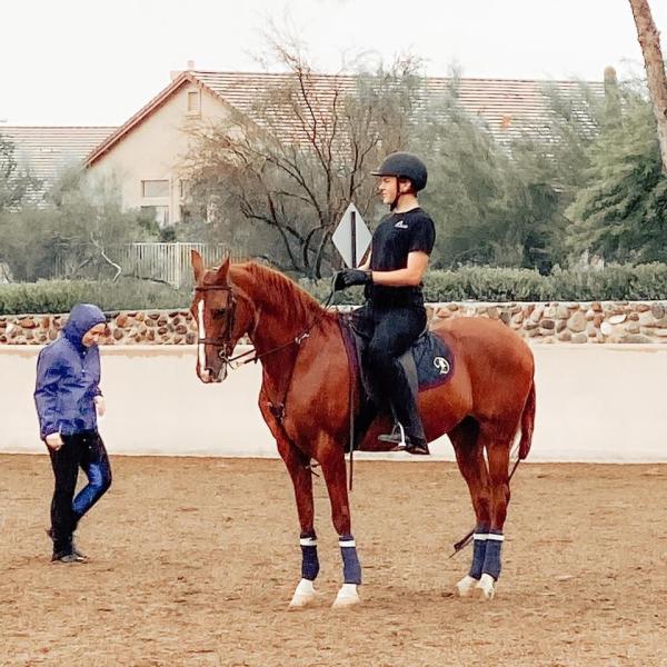 Apex Riding Academy LLC