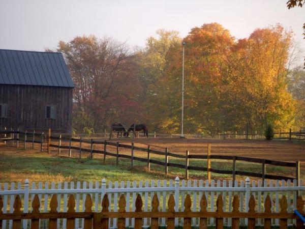 Someday Farm