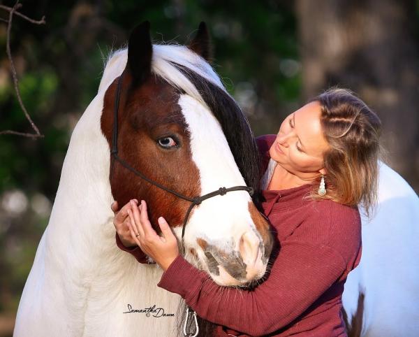 Starfire Gypsy Horses