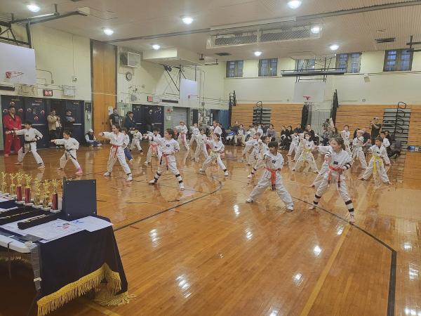 Professional Martial Arts Taekwondo Center