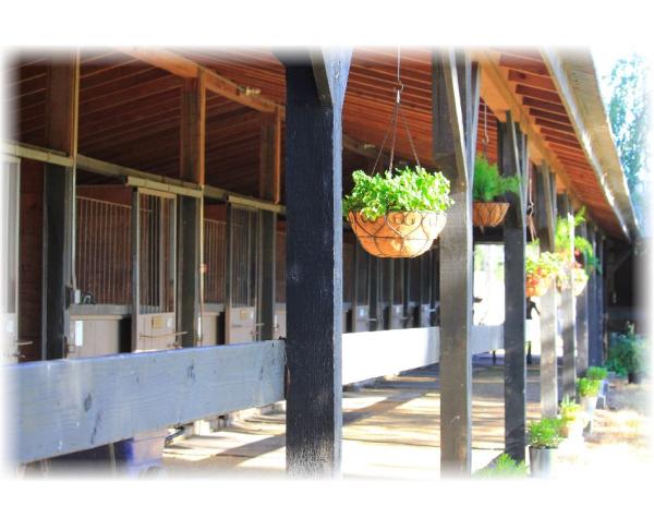 Monarch Stables