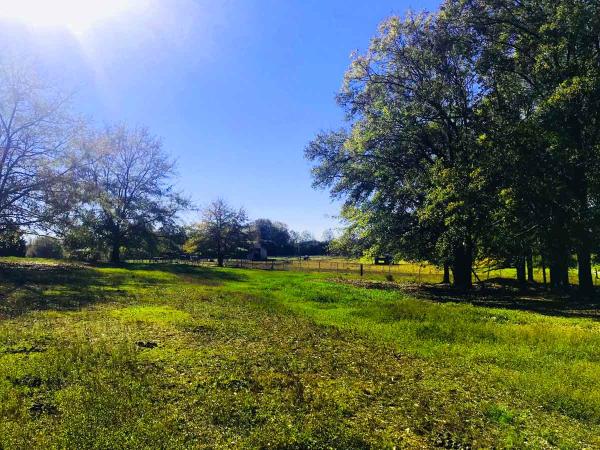 Cross-Country Farm