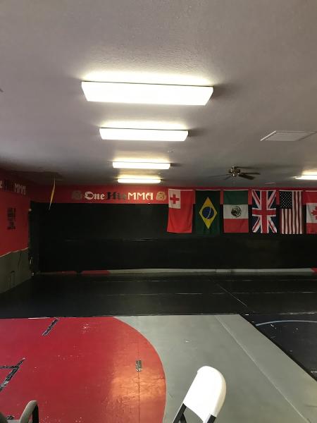 One Hit MMA