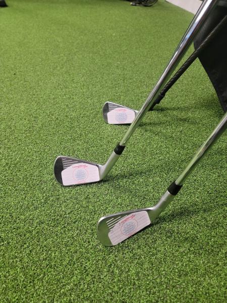 Swing Safe Golf Lessons Center