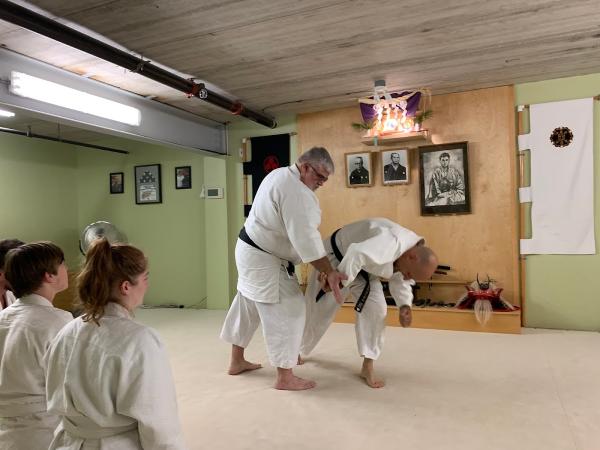 Bushidokai Traditional Martial Arts Dojo