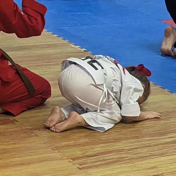 Chang Lee's Taekwondo Club USA