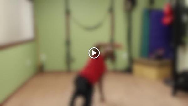 Ymassage- Bodywork and Natural Fitness