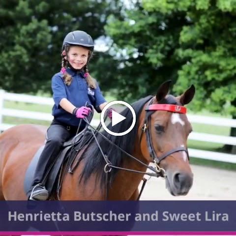 Cape Cod Equestrian Center