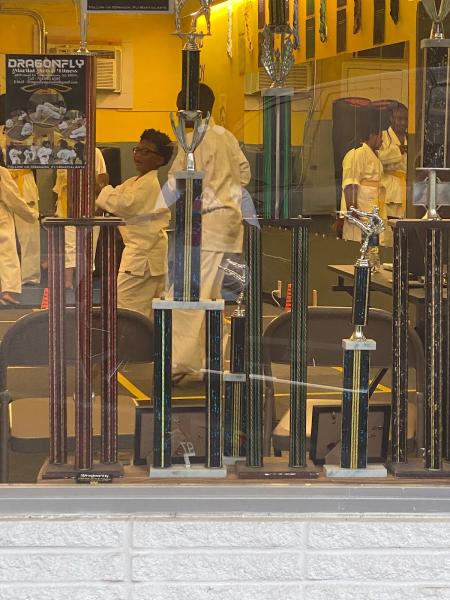 Dragonfly Martial Arts & Fitness LLC