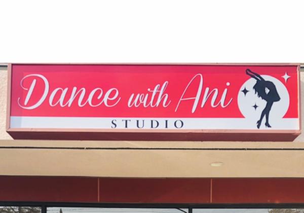 Dance With Ani Studio