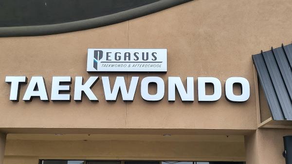 Pegasus Taekwondo After School