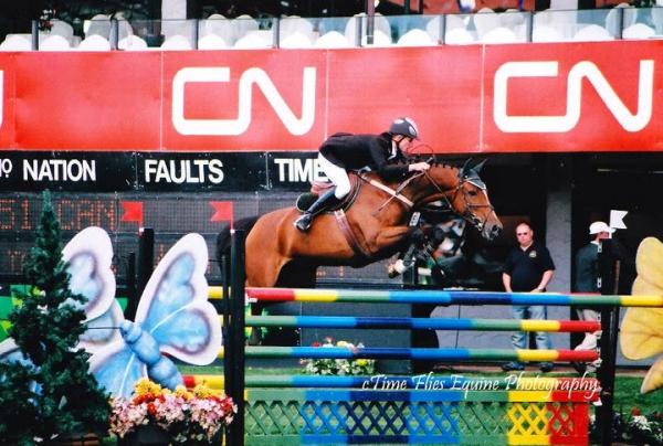 Apex Equestrian Center