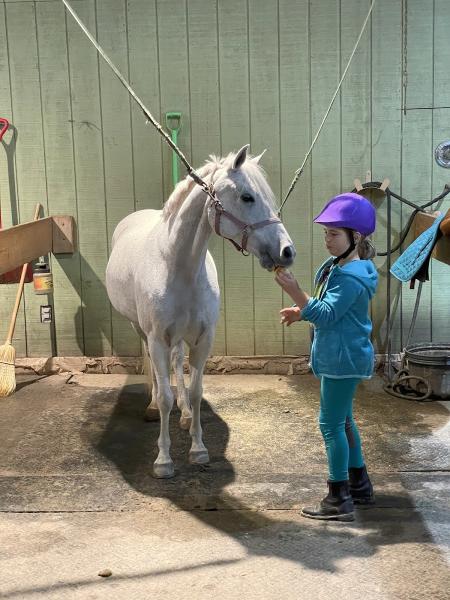 Topline Equestrian