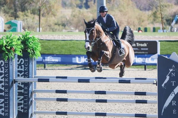 Tilley Show Stables