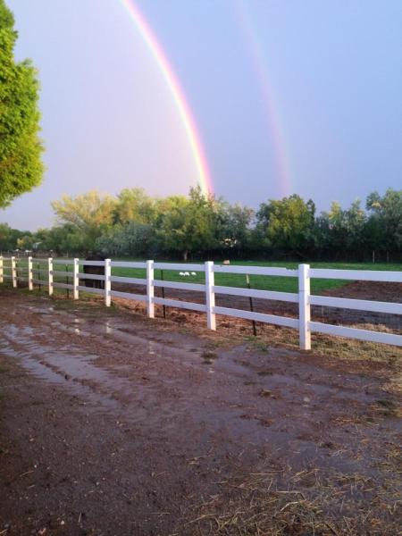 Tilley Show Stables