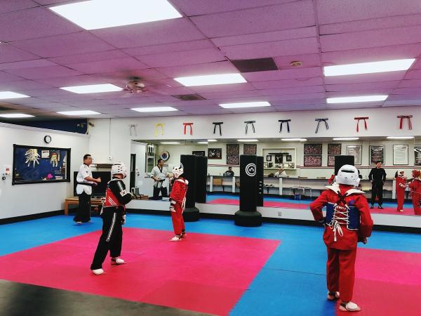 Elsinore Taekwondo Martialarts